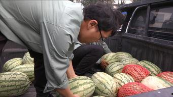 群众欢乐吃瓜视频,吃瓜视频里的欢乐时光