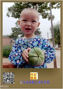 一群吃瓜小盆友视频,小盆友们眼中的欢乐时光