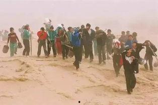 甘肃武威民勤吃瓜事件视频