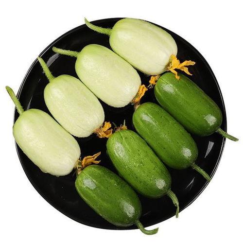 金玉瓜怎么吃最好吃视频,视频教你如何吃出最佳口感