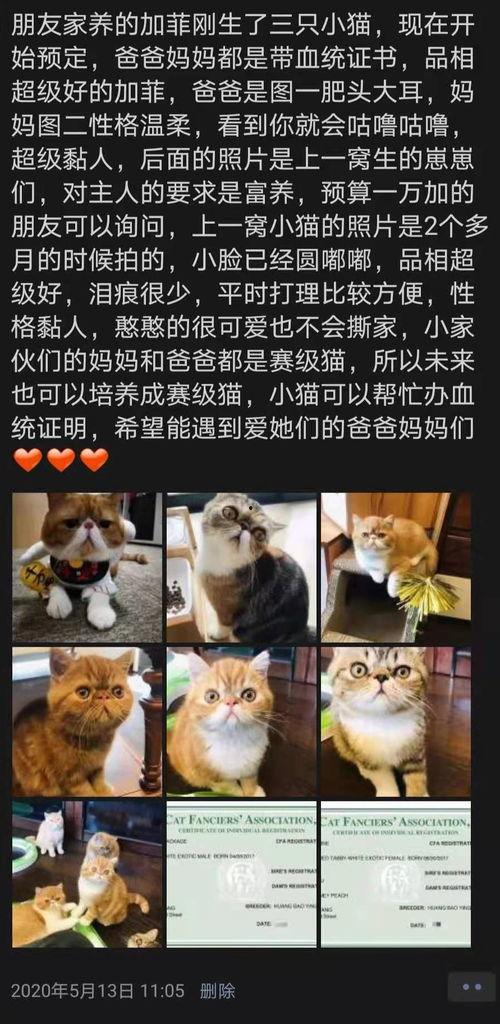 吃瓜博主夫妻视频,娱乐圈幕后真相大曝光