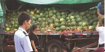 西藏网红吃瓜事件视频,揭秘网络舆论背后的真相