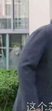 电视剧罪犯吃瓜视频,揭秘电视剧中的另类娱乐现象