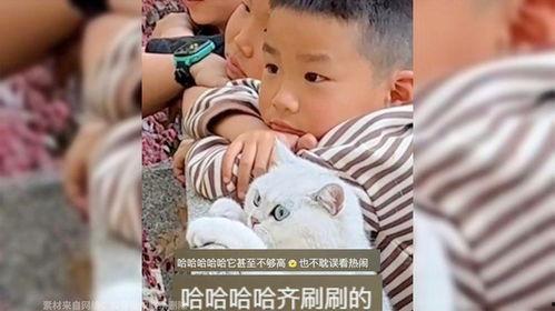 小孩哥和猫咪吃瓜视频,欢乐互动萌态十足
