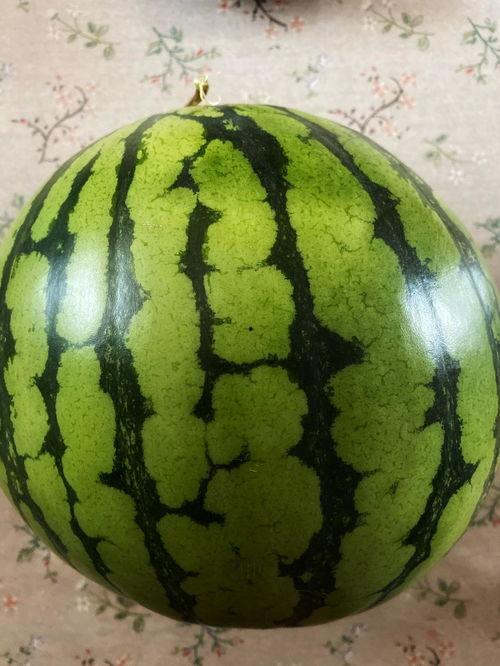 吃瓜心情视频表演,跟随吃瓜心情视频，感受欢乐时光