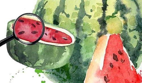 吃瓜心情视频表演,跟随吃瓜心情视频，感受欢乐时光