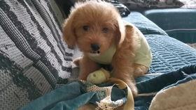 吧唧吃瓜视频完整,一场视觉盛宴的狂欢之旅