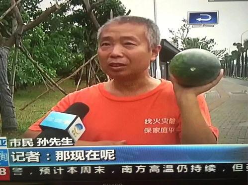 稠州吃瓜群众事件视频最新,一场网络舆论的风暴与反思