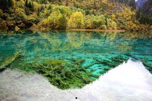 四川九寨沟明星吃瓜视频,揭秘娱乐圈幕后趣闻