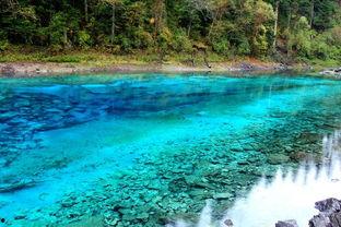 四川九寨沟明星吃瓜视频,揭秘娱乐圈幕后趣闻