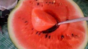 世界吃瓜日视频