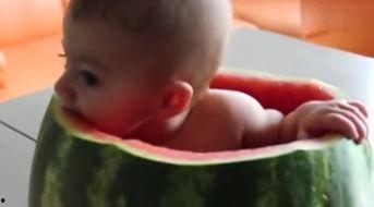 吃瓜视频 婴儿