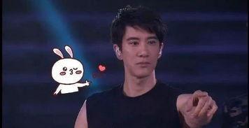 明星吃瓜粉丝求婚视频大全,粉丝求婚大作战！