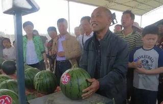 永城最新吃瓜群众案件视频,揭秘网络谣言背后的真相