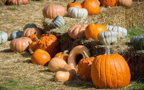 群众早上吃瓜视频