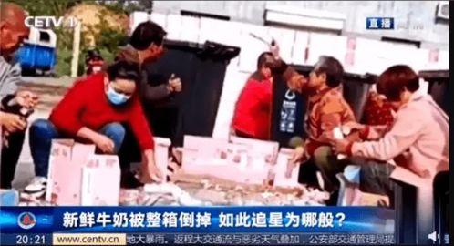 鹤岗漫展吃瓜视频播放,网友热议幕后故事