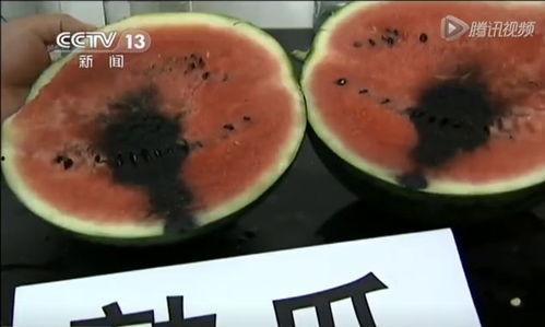 吃瓜有水平的视频,从吃瓜视频看社会现象深度解析