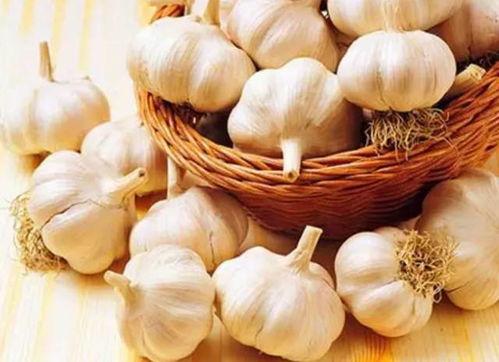 大蒜吃瓜录音视频在线观看,趣味视频带你领略美食与娱乐的完美融合