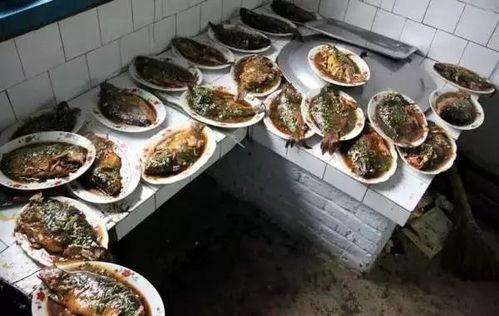 农村吃瓜喝酒视频大全,农村吃瓜喝酒视频大全集锦