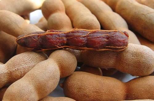 主播吃酸角瓜视频大全,酸爽来袭！主播带你品尝酸角瓜美味瞬间