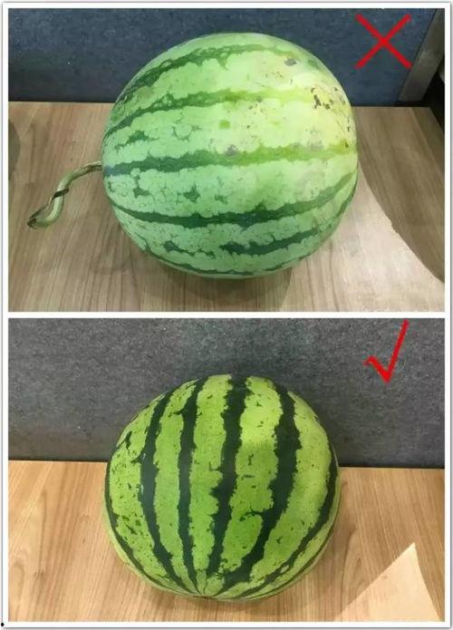 一抓一个准吃瓜视频,揭秘吃瓜视频背后的真相