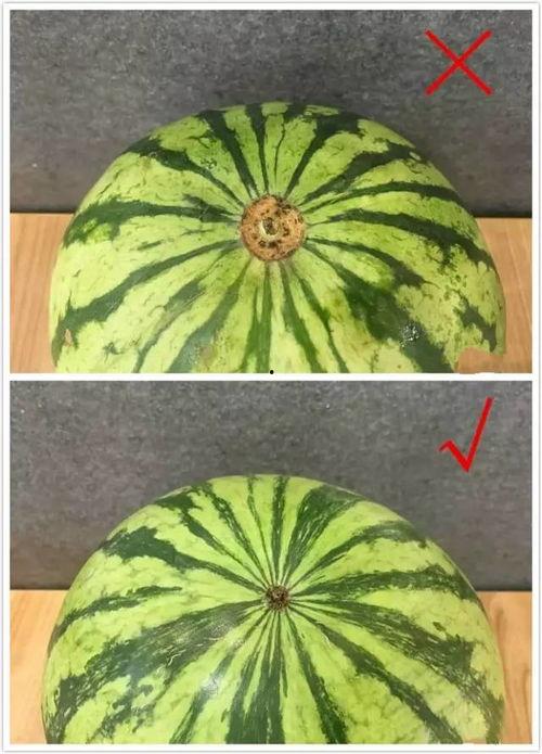 一抓一个准吃瓜视频,揭秘吃瓜视频背后的真相