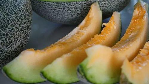 来武庄吃瓜视频大全下载,一网打尽热门吃瓜瞬间