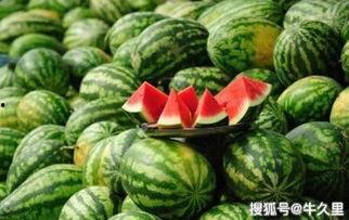 网上吃瓜视频怎么找博雅,从吃瓜视频看网络舆论风向标