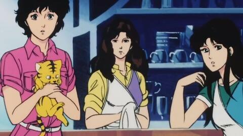 猫眼三姐妹吃瓜视频,揭秘娱乐圈幕后吃瓜大揭秘