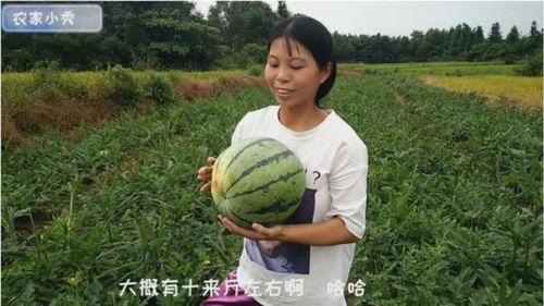 姑娘去摘西瓜吃瓜视频,姑娘摘瓜吃瓜，共享欢乐时光