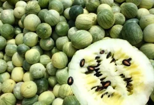 天水吃籽瓜吗好吃吗视频,口感与营养双重享受