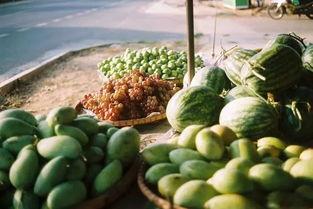 吃瓜群众免费吃瓜香港视频