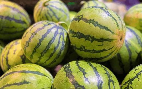 生瓜蛋子吃货视频大全,一场味蕾的狂欢之旅