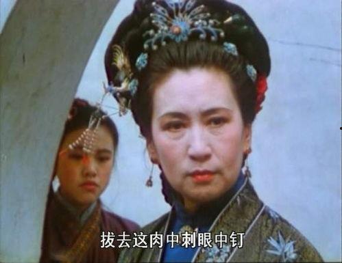 奇葩网友带你吃瓜视频下载