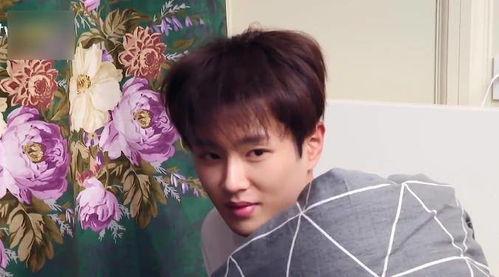 范丞丞现场吃瓜视频,趣味瞬间引网友热议