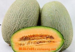 哈密瓜怎么完整去皮吃视频,尽享哈密瓜美味——视频教学