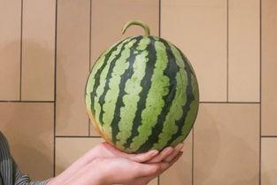 琼海17度吃瓜事件视频,一场引发热议的街头冲突瞬间