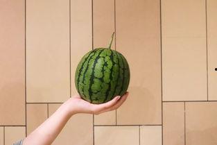 琼海17度吃瓜事件视频,一场引发热议的街头冲突瞬间