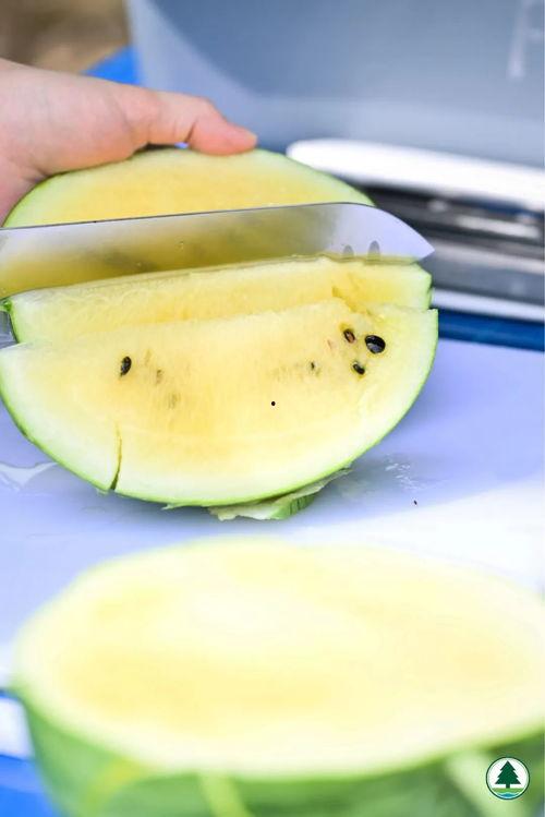 香港吃瓜的视频,揭秘街头美食背后的故事