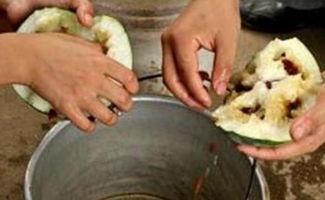 红色瓜种子可以吃吗视频