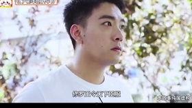 吃瓜故事沙雕视频大全,带你领略欢乐无限