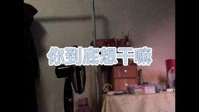 吃瓜故事沙雕视频大全,带你领略欢乐无限