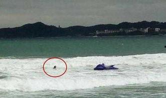 美爷翻船吃瓜视频大全集,视频全集深度解析