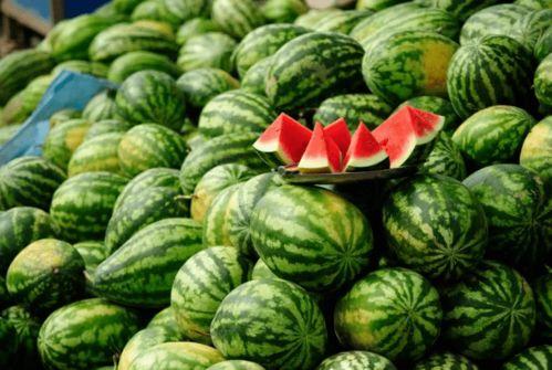 阿勒泰雪圈吃瓜视频,一场冰雪中的欢乐盛宴