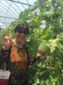 收获瓜果吃瓜的视频,共享丰收喜悦——跟随视频品味甜蜜时光