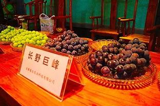 收获瓜果吃瓜的视频,共享丰收喜悦——跟随视频品味甜蜜时光