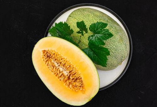 酒店吃蜜瓜视频下载大全,酒店美食视频下载大全精选