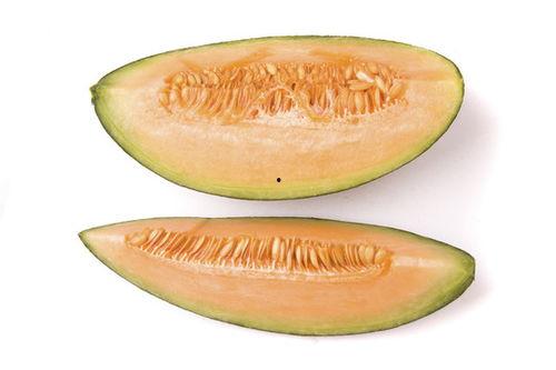 酒店吃蜜瓜视频下载大全,酒店美食视频下载大全精选