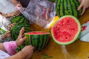 大师吃瓜视频,揭秘娱乐圈幕后真相