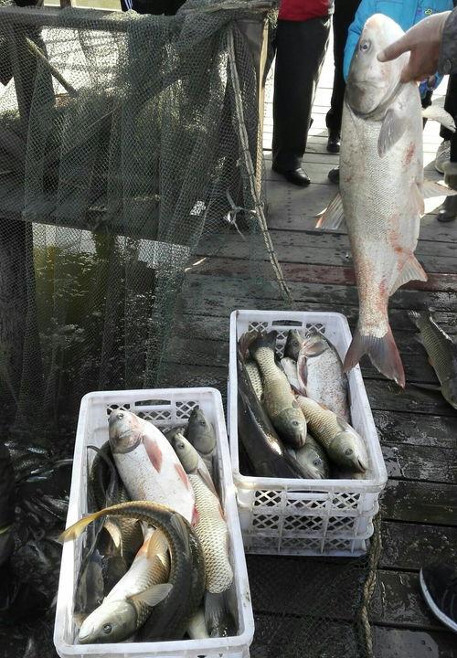 爱钓鱼的吃瓜群众视频在线观看,爱钓鱼的吃瓜群众视频盛宴